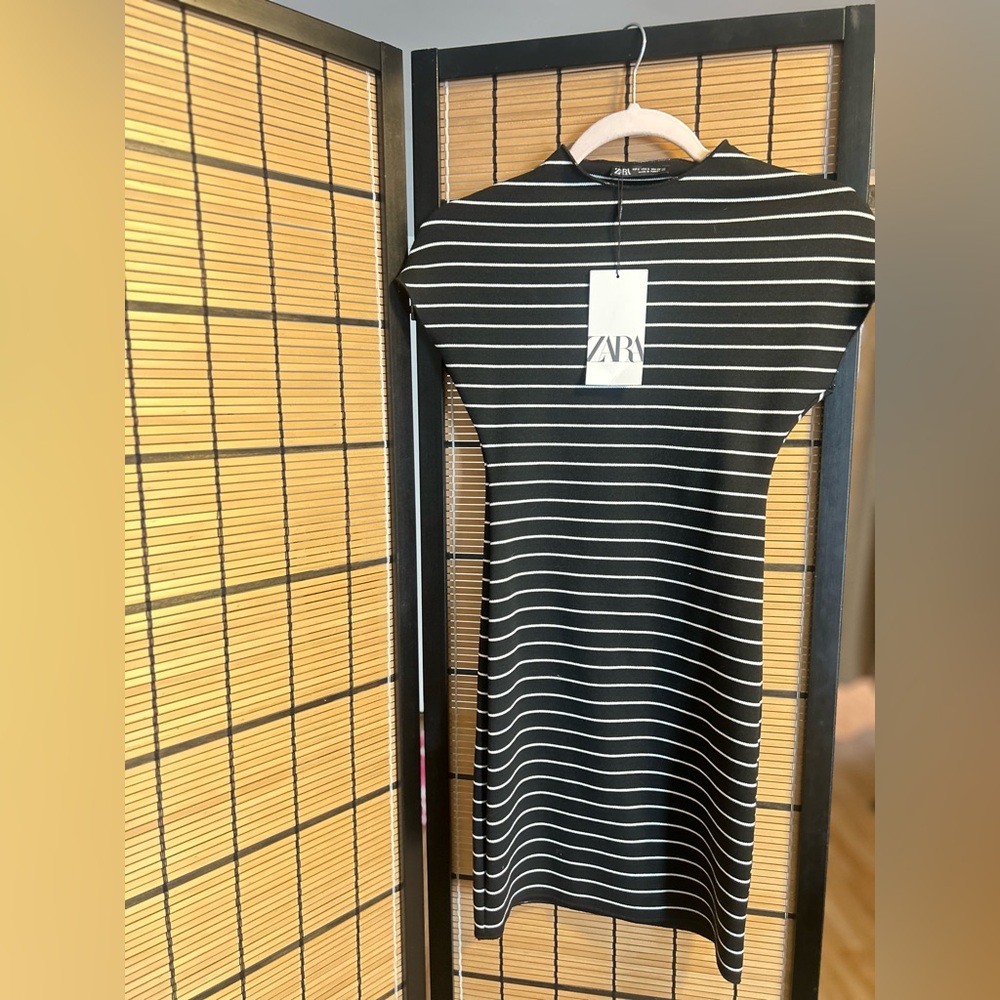 Zara Black and White Striped Knit Dress